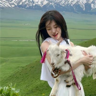 真爱至上国语