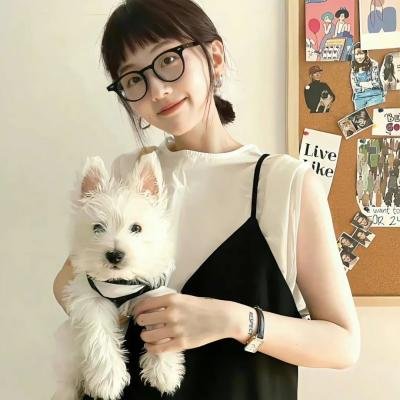 非诚勿扰综艺