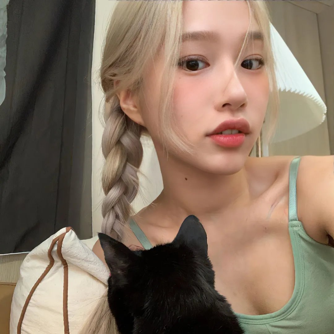 圆圈